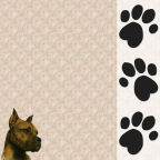 snips ans snails puppy dog tails or heads paw prints