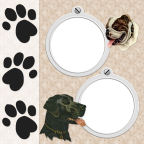 paw print irish setter and spaniel little boys time outdoors