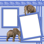 zoo themes with elephants working moving and lifting