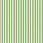 12xgreen stripes designed backs