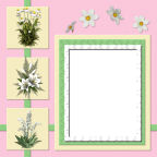 12x feminine quick spring digital background scrapbook papers weddings