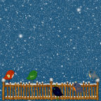 12x falling snow landscape robins and birds on a fence
